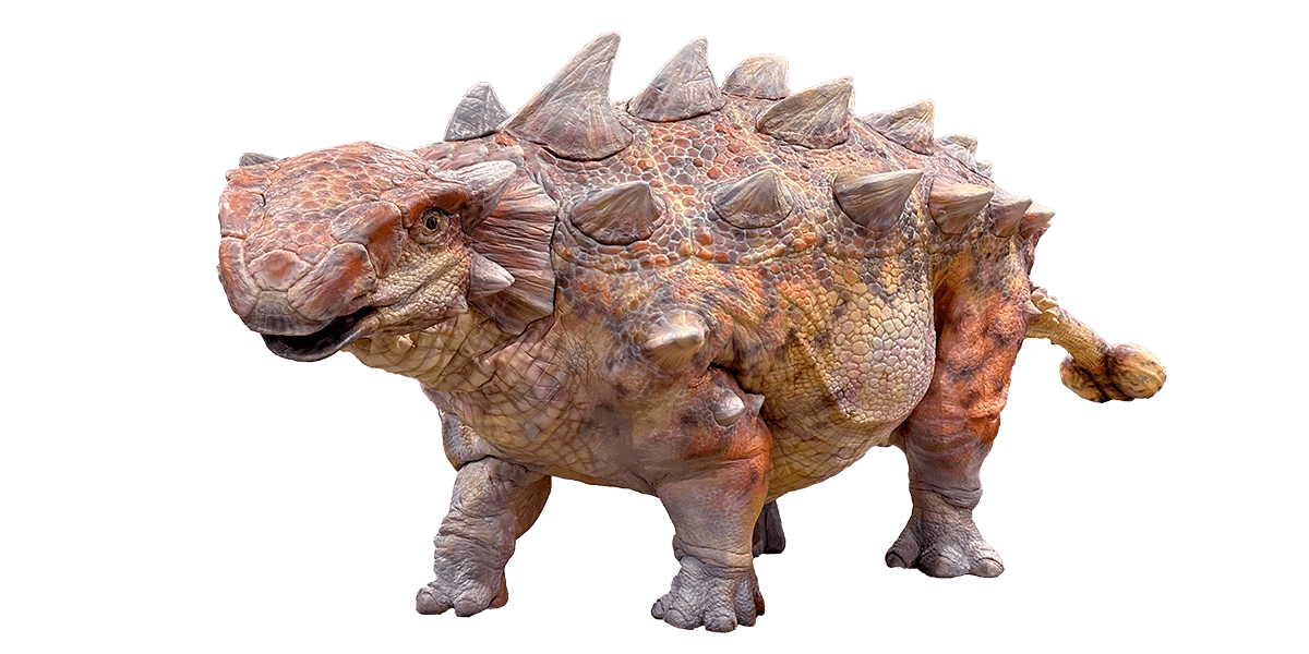 アンキロサウルス