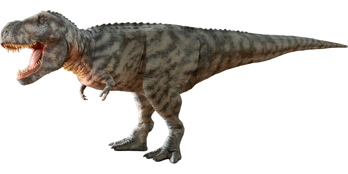 ティラノサウルス